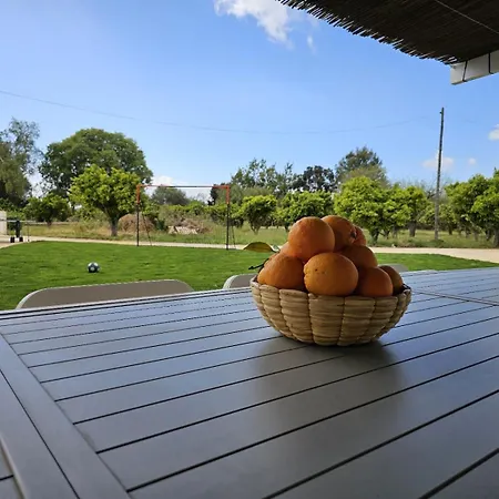 Villa Es Moli De'n Palmer